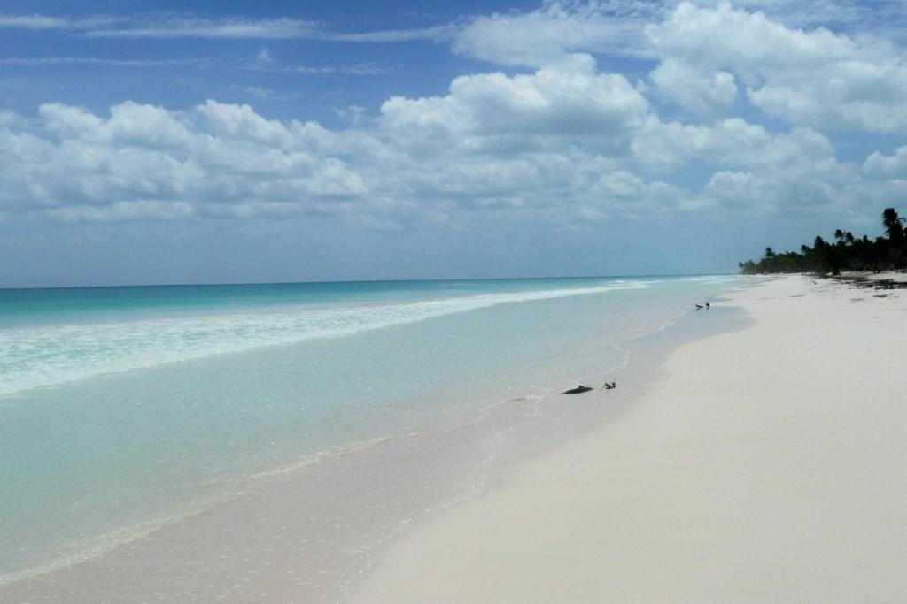 Casa Pelicanos Tulum Beach Mx - Next To Hotel Zone Exterior photo